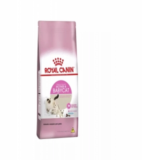 Ração Royal Canin Cães Adultos Xsmall Adult - Aupetmia Petshop