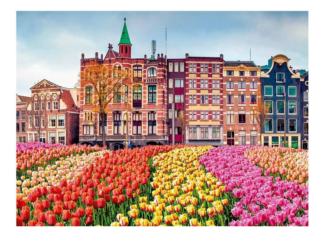 Quebra Cabeça Flores Em Amsterdã 500 Peças - Grow