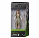 Boneca Star Wars Princesa Leia Black Series - Hasbro