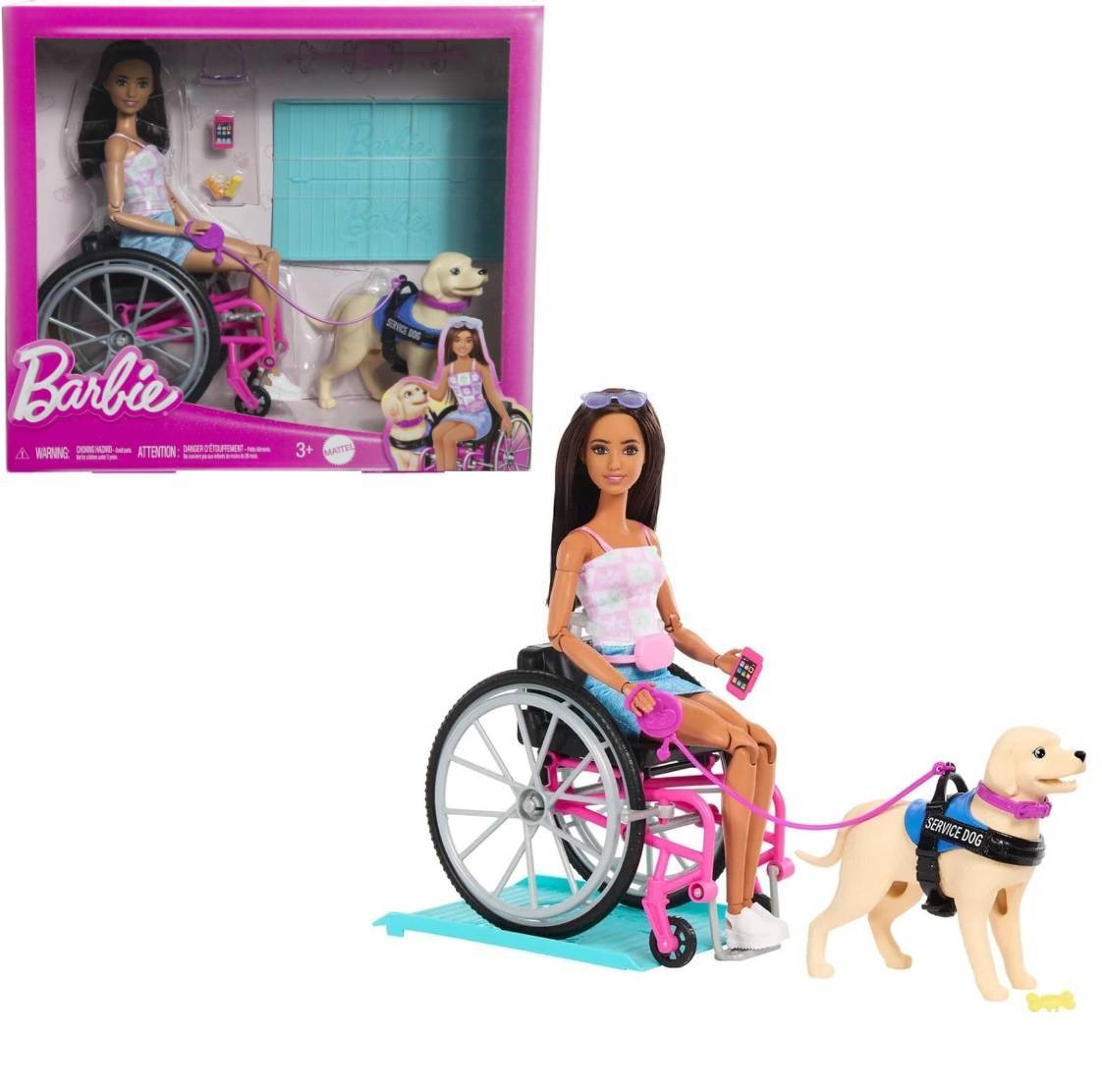 Barbie Morena Cadeira De Rodas e Cachorrinho - Mattel - BRINKEDO LEGAL